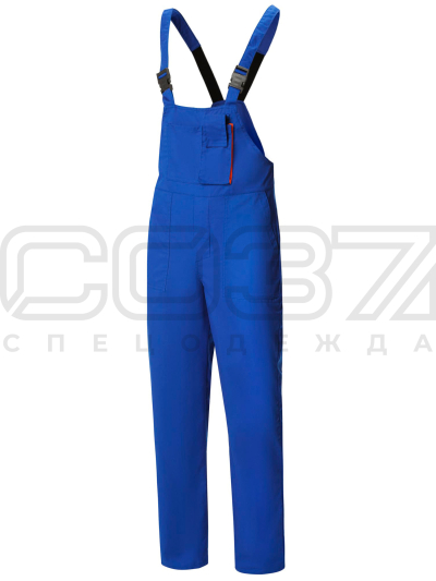 пк-Сириус-василек-1