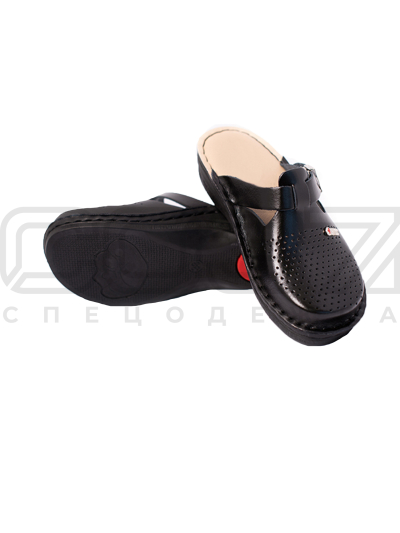 260_b (1)